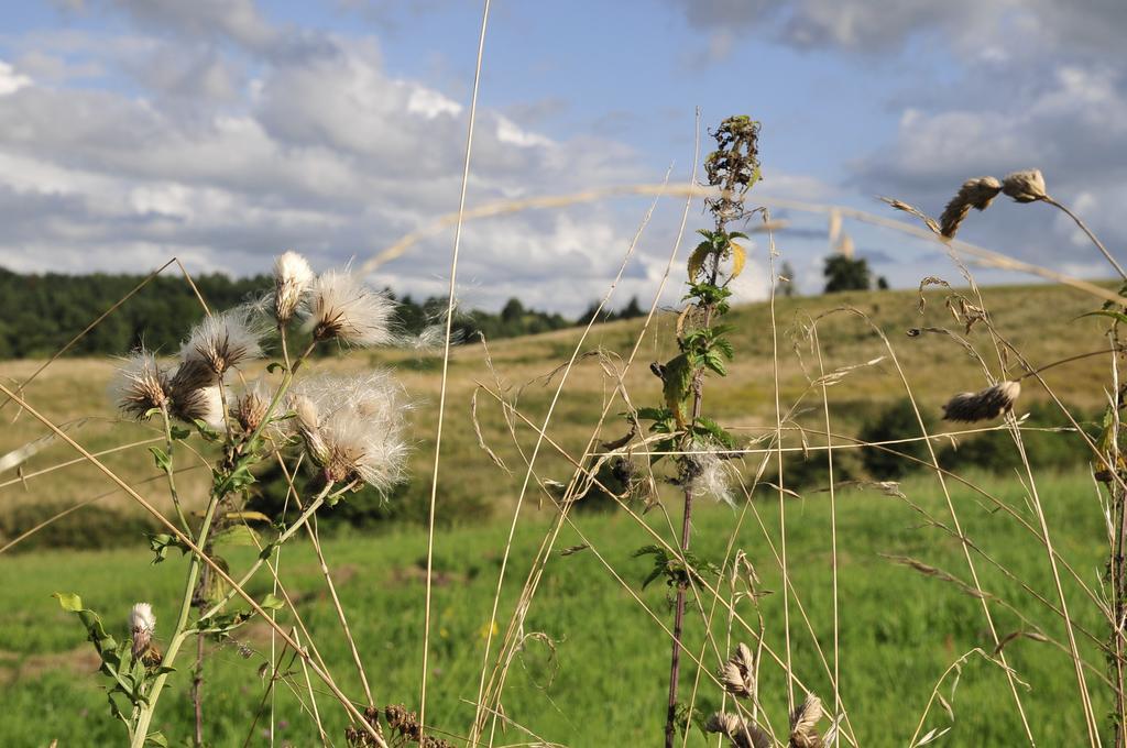 Agroturystyka Orzechowe Wzgorze Orzechowo  Extérieur photo