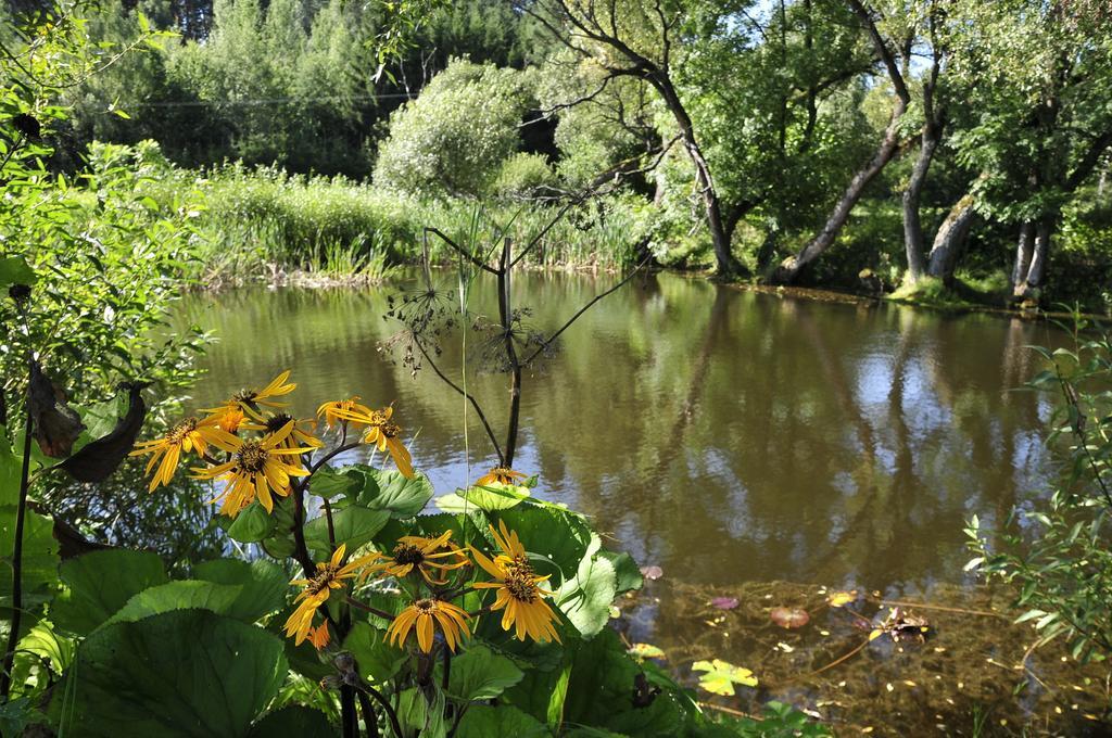 Agroturystyka Orzechowe Wzgorze Orzechowo  Extérieur photo
