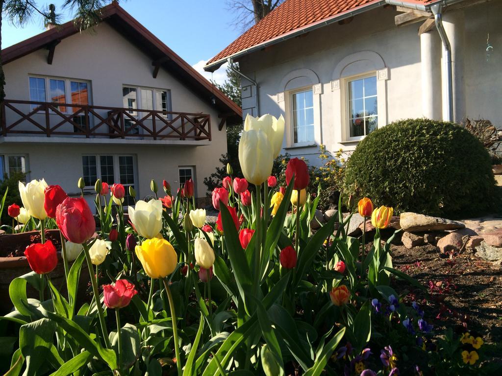 Agroturystyka Orzechowe Wzgorze Orzechowo  Extérieur photo